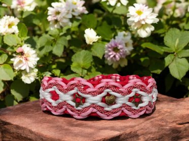 Paracord Hundehalsbånd