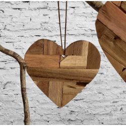 Hjerter til oph�ng