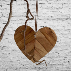 Hjerter til oph�ng