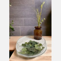 Bowl Archer Soda Bubbles