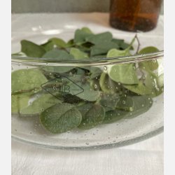 Bowl Archer Soda Bubbles