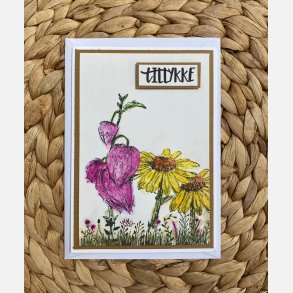 Kort, Solsikke og b�lge