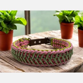 Paracord Hundehalsbnd 