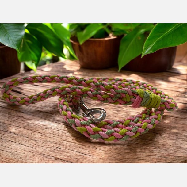A.Paracord Hundeline "Jessie"