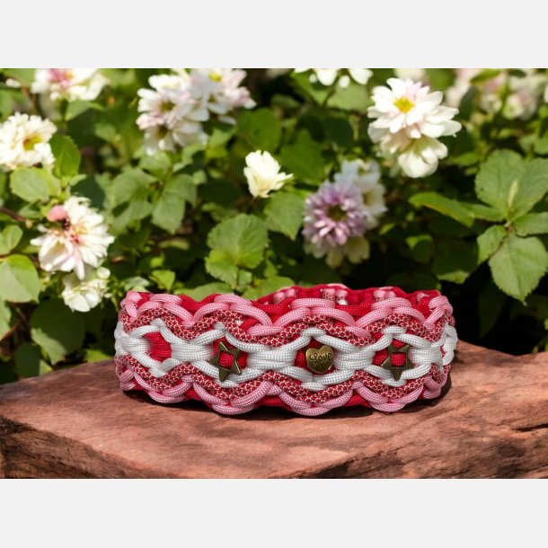 A.Paracord Hundehalsbnd "Chilli" Str.: L/XL