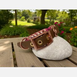 Paracord Hundehalsb�nd "Lima"