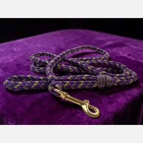 A.Paracord Hundeline 
