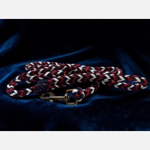 A.Paracord Hundeline 