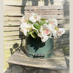 Zink-Potte, Gr�n m. hank