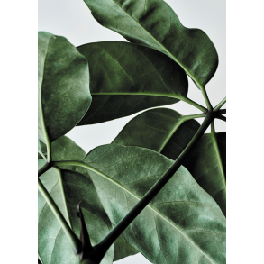 Paper Collective - Riikka Kantikoski 