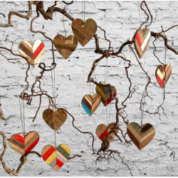 Hjerter til oph�ng