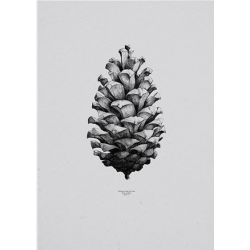 Paper Collective - Form us with Love "Nature 1:1 Pine Cone - Gray"