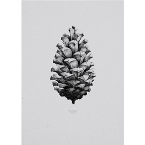 Paper Collective - Form us with Love 