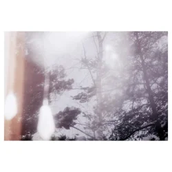 Paper Collective - Julie Pike "Prism 2"