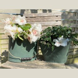 Zink-Potte, Gr�n m. hank